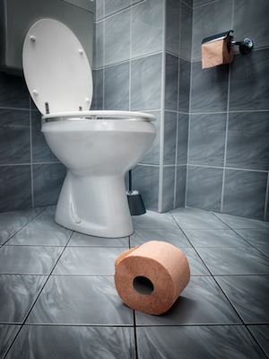 7 Things To Consider When Purchasing A New Toilet