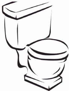 low-flow-toilet-227x300