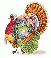 turkey_colorful