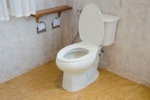 An elongated bowl toilet with extra front space